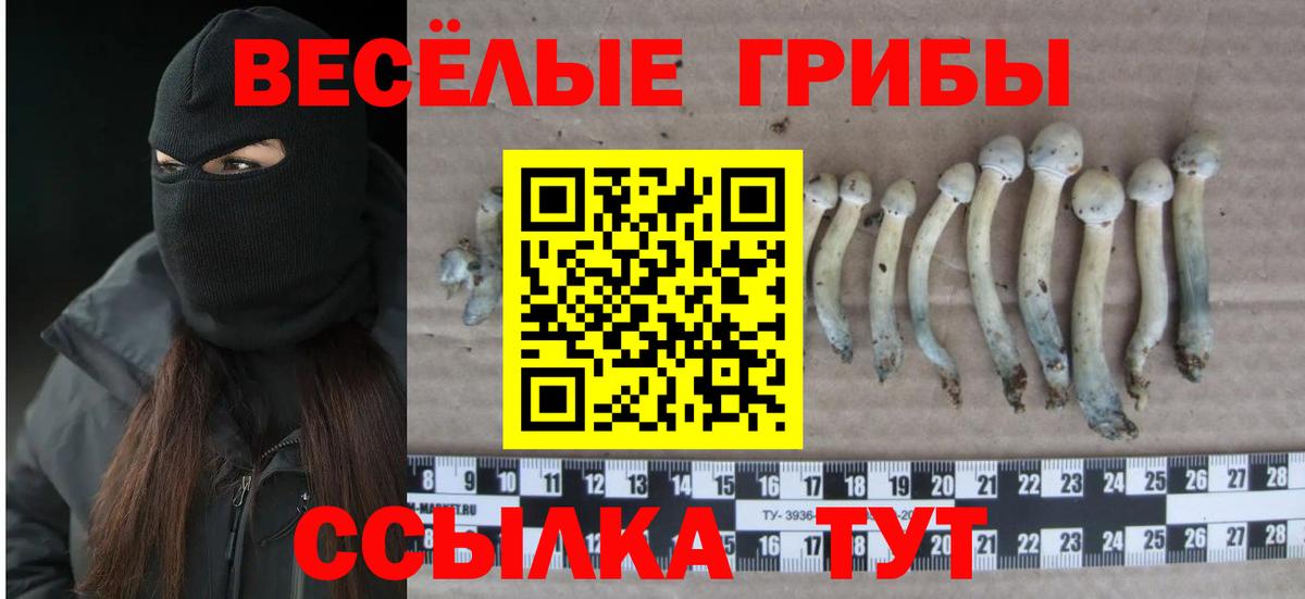 Галлюциногенные грибы Magic Shrooms  Вход с VPN  Карталы 